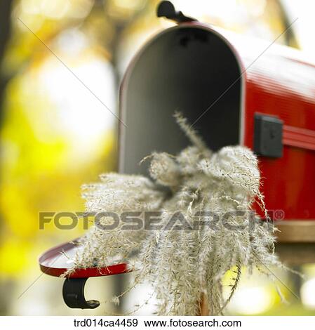 Stock Photo - pillarbox, fall, postbox, post, reed, mailbox, autumn. Fotosearch