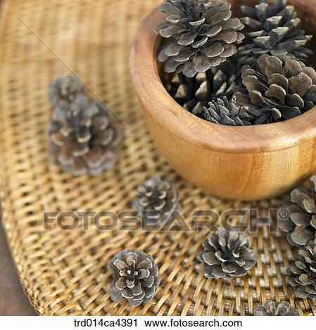 pinecone, basket View Large Photo Image Stock Image - pinecone, basket. Fotosearch