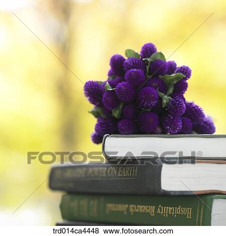 Stock Photo - purple, flower, blossom, bloom, floral, bunchofflowers, bunch. Fotosearch