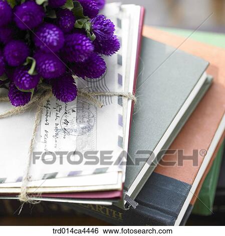 purple, flower, blossom, bloom, floral, bunchofflowers, bunch View Large Photo Image Stock Photograph - purple, flower, blossom, bloom, floral, bunchofflowers, bunch. Fotosearch