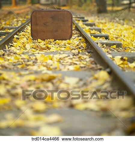 voyage, fall, journey, trip, travel, tour, autumn View Large Photo Image Stock Photograph - voyage, fall, journey, trip, travel, tour, autumn. Fotosearch