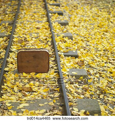 voyage, fall, journey, trip, travel, tour, autumn View Large Photo Image Stock Photography - voyage, fall, journey, trip, travel, tour, autumn. Fotosearch
