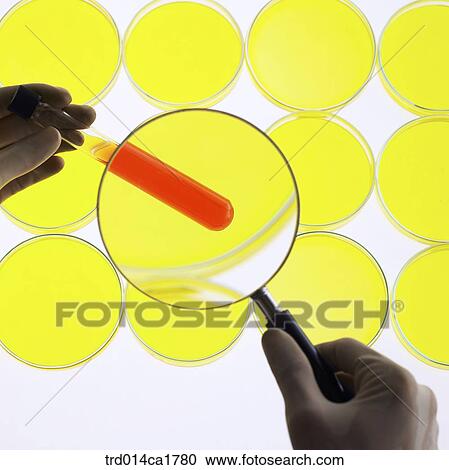 person, people, oneperson, person, people View Large Photo Image Stock Image - person, people, oneperson, person, people. Fotosearch
