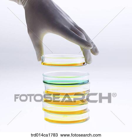 Stock Image - person, people, oneperson, person, people. Fotosearch