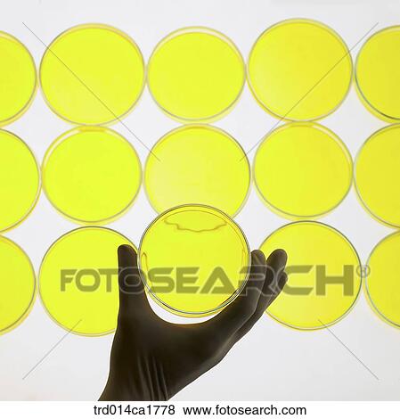 person, people, oneperson, person, people View Large Photo Image Stock Photo - person, people, oneperson, person, people. Fotosearch