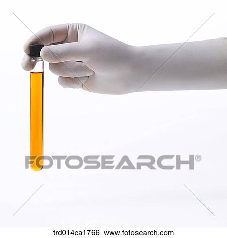 Stock Photograph - person, people, oneperson, person, people. Fotosearch