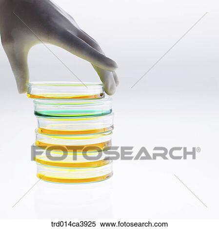 science, scienceinstrument, implement, appliance, tool, experiment, test View Large Photo Image Stock Photography - science, scienceinstrument, implement, appliance, tool, experiment, test. Fotosearch