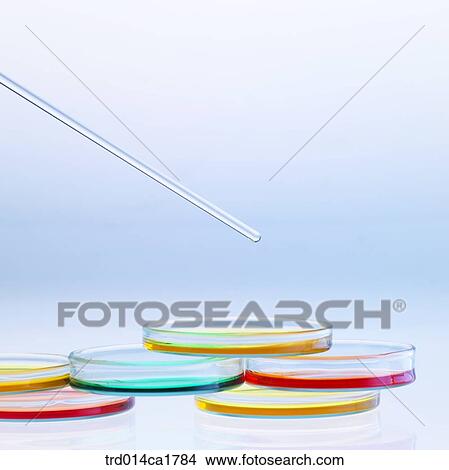 severalthings, object, science, scientificinstrument, scientificappliance, experimentinstrument, experimentappliance View Large Photo Image Picture - severalthings, object, science, scientificinstrument, scientificappliance, experimentinstrument, experimentappliance. Fotosearch