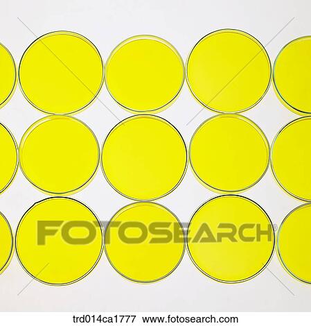 severalthings, object, science, scientificinstrument, scientificappliance, experimentinstrument, experimentappliance View Large Photo Image Stock Photo - severalthings, object, science, scientificinstrument, scientificappliance, experimentinstrument, experimentappliance. Fotosearch
