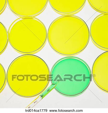 severalthings, object, science, scientificinstrument, scientificappliance, experimentinstrument, experimentappliance View Large Photo Image Stock Photo - severalthings, object, science, scientificinstrument, scientificappliance, experimentinstrument, experimentappliance. Fotosearch