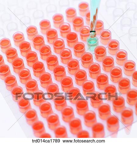 severalthings, science, scientificinstrument, scientificappliance, experimentinstrument, experimentappliance, experimentappliance View Large Photo Image Stock Photo - severalthings, science, scientificinstrument, scientificappliance, experimentinstrument, experimentappliance, experimentappliance. Fotosearch