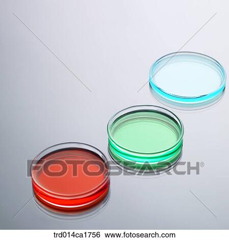 Stock Photograph - smallgroupofpeople, people, person, three. Fotosearch