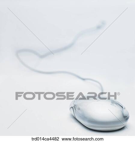 oneperson, person, people, onepersononly View Large Photo Image Stock Image - oneperson, person, people, onepersononly. Fotosearch
