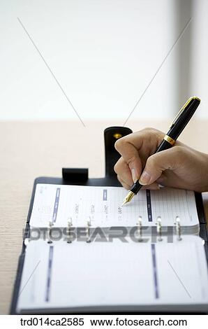 person, people, oneperson, person, people View Large Photo Image Stock Photography - person, people, oneperson, person, people. Fotosearch