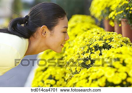 person, people, oriental, orientals, orientalpeople, korean, woman View Large Photo Image Stock Image - person, people, oriental, orientals, orientalpeople, korean, woman. Fotosearch