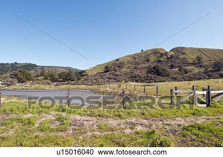 A pond restoration site, San Mateo County, California, USA View Large Photo Image Stock Image - A pond restoration site, San Mateo County, California, USA. Fotosearch