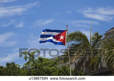 Flag of Cuba View Large Photo Image Picture - Flag of Cuba. Fotosearch