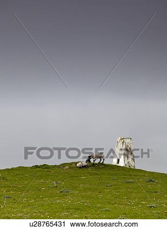 Stock Image - Hill; Northumberland, England. Fotosearch