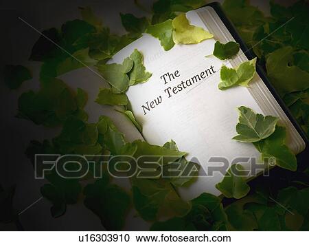 New Testament View Large Photo Image Stock Image - New Testament. Fotosearch