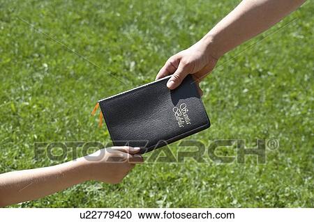 Sharing a spanish Bible View Large Photo Image Stock Image - Sharing a spanish Bible. Fotosearch