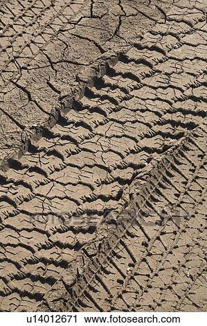 Tire tracks in dried and cracked mud; Laval, Quebec, Canada View Large Photo Image Stock Image - Tire tracks in dried and cracked mud; Laval, Quebec, Canada. Fotosearch