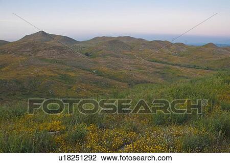 Stock Image - Twilight horizon, Riverside County, California, USA. Fotosearch