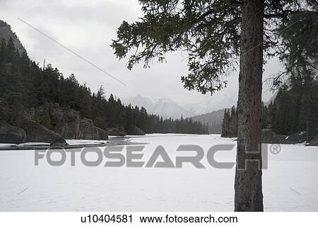 Stock Image - Winter scene; Banff, Alberta, Canada. Fotosearch