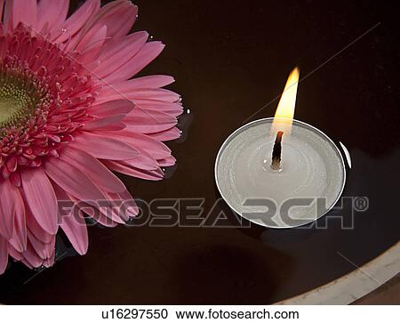Stock Image - A pink flower and a candle. Fotosearch