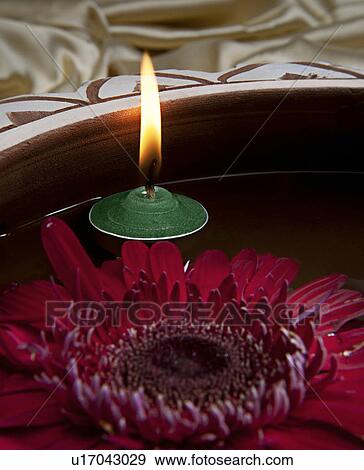 Stock Photo - A pink flower and a candle. Fotosearch