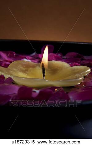 Candle with flower petals View Large Photo Image Stock Photography - Candle with flower petals. Fotosearch