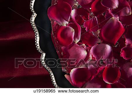 Stock Photography - Flower petals. Fotosearch
