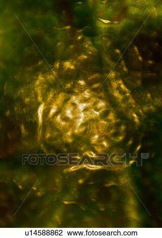Stock Image - textured backgrounds. Fotosearch