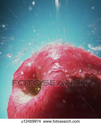 A fresh apple View Large Photo Image Picture - A fresh apple. Fotosearch