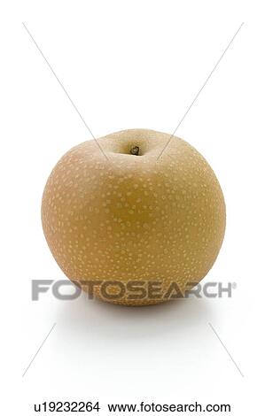 Picture - A Single Pear. Fotosearch