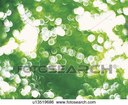 Stock Photograph - Abstract green beech leaves. Fotosearch