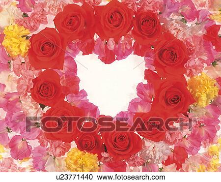 Stock Image - Arrangement of many flowers and petals to make a heart shape. Fotosearch