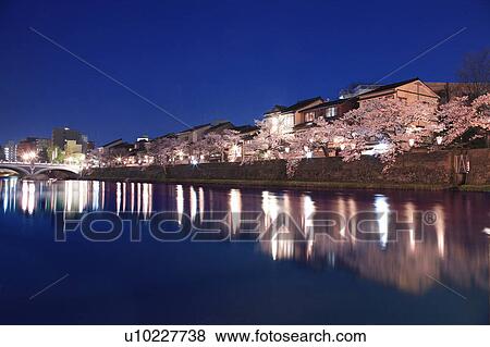 Stock Photo - Asano River and Cherry Blossoms. Fotosearch