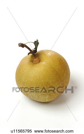 Stock Photography - Asian pear, white background. Fotosearch