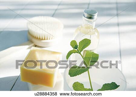 Stock Photo - Bars of soap and body brush next to potted plant. Fotosearch