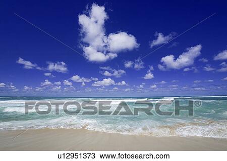 Beach in Oahu, Hawaii, USA View Large Photo Image Stock Image - Beach in Oahu, Hawaii, USA. Fotosearch