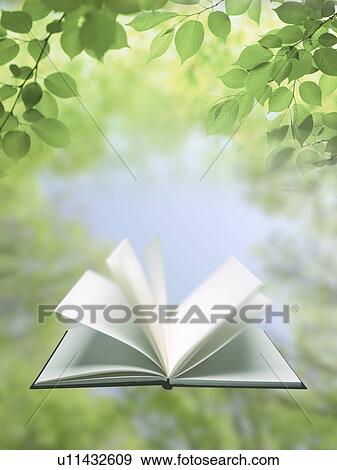 Stock Photo - Blank book in the sky. Fotosearch