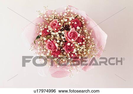 Stock Photograph - Bouquet of roses and baby's breath. Fotosearch