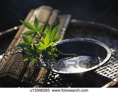 Bowl of water with fresh maple leaves and a folded tatami mat View Large Photo Image Stock Image - Bowl of water with fresh maple leaves and a folded tatami mat. Fotosearch