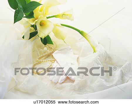 Bridal bouquet, gloves and pearls View Large Photo Image Stock Photography - Bridal bouquet, gloves and pearls. Fotosearch