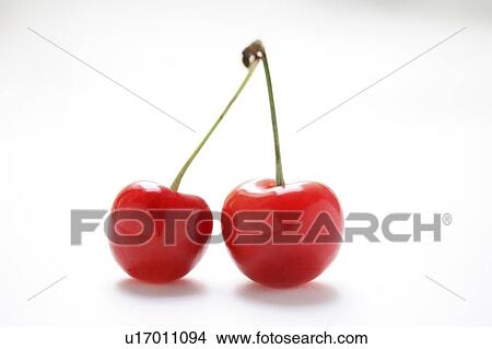 Picture - Cherries. Fotosearch