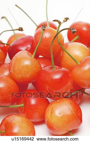 Stock Image - Cherries . Fotosearch