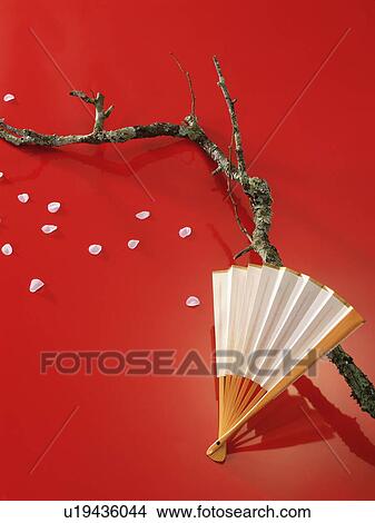 Picture - Cherry tree branch, petals and a folding fan. Fotosearch