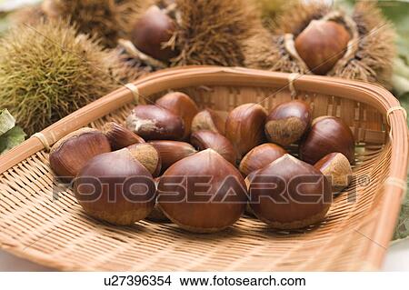 Picture - Chestnuts on colander, close up. Fotosearch