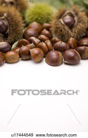 Stock Photo - Chestnuts, white background, copy space. Fotosearch
