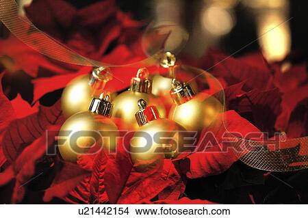 Christmas baubles on bed of red leaves View Large Photo Image Picture - Christmas baubles on bed of red leaves. Fotosearch